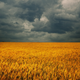 Image for article titled Can Bad Weather Actually Cause Joint Ache?